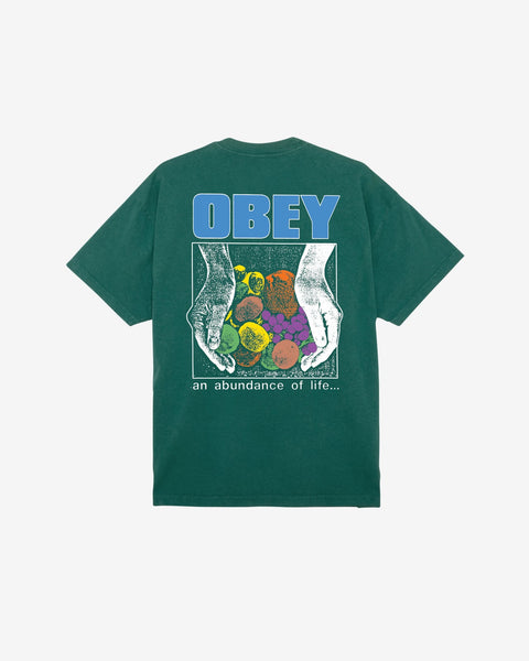 OBEY AN ABUNDANCE OF LIFE - HEAVYWEIGHT CLASSIC BOX TEES | OBEY Clothing